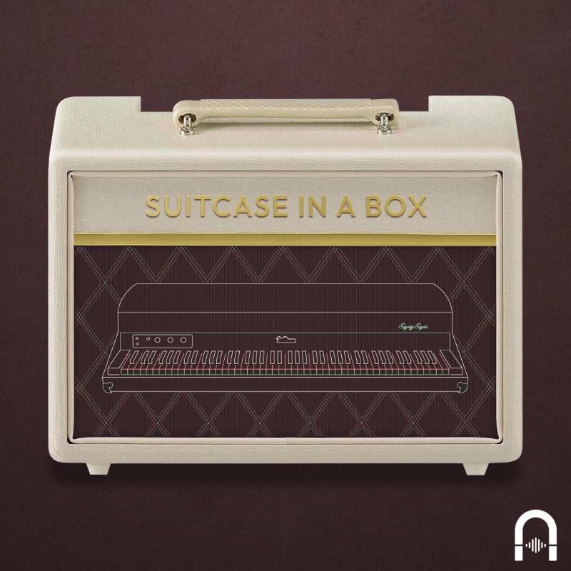 Suitcase in Box album cover