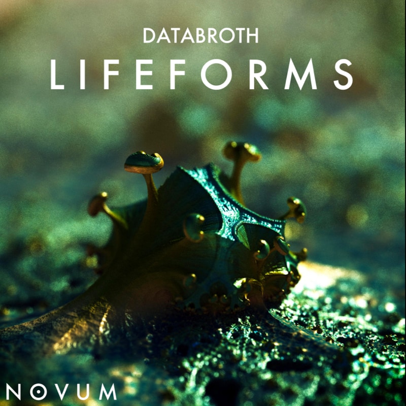 lifeforms album cover
